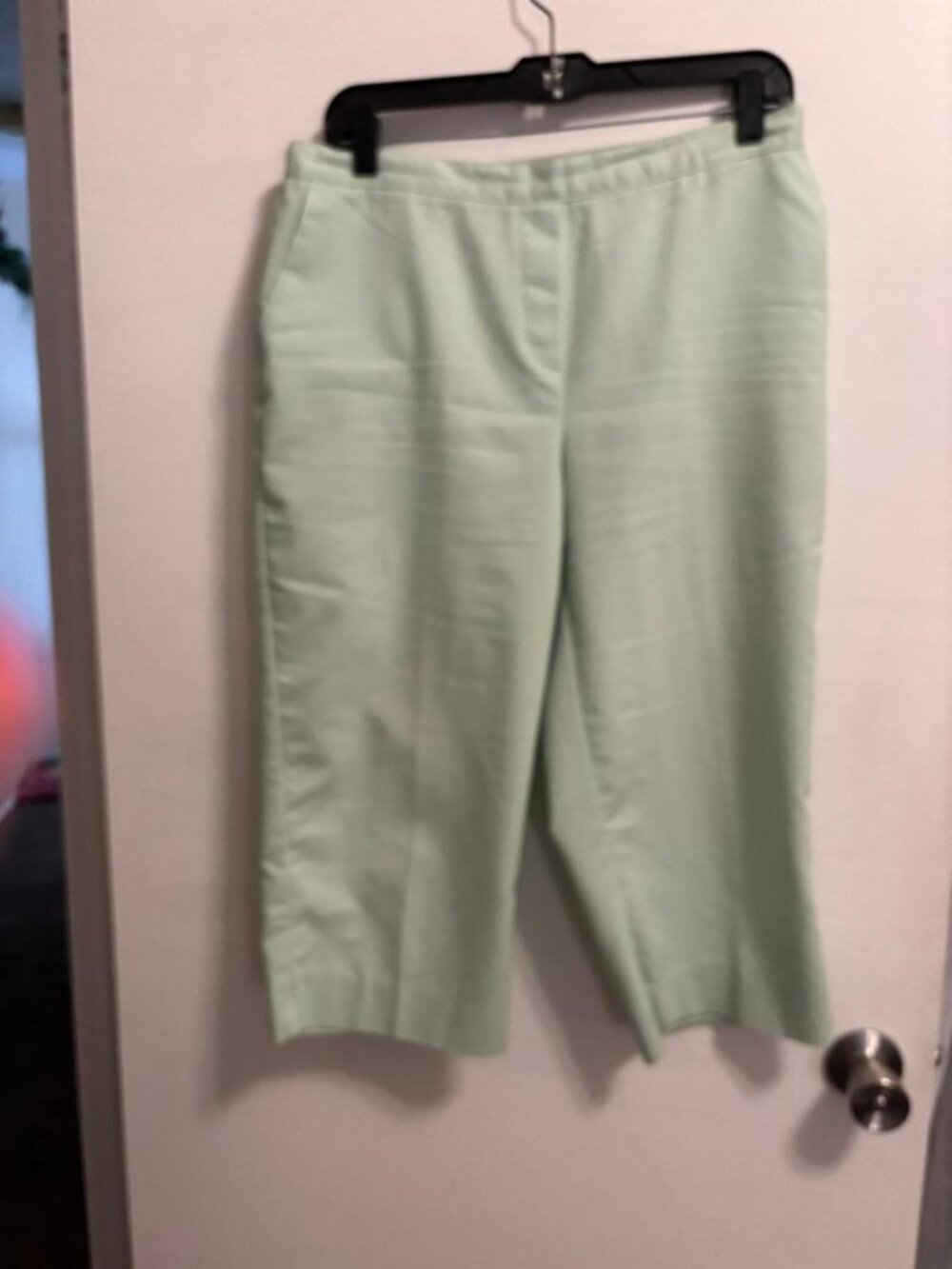 Alfred Dunner Classic Fit Capri Pants Comfort Waist Easy Care Pale Green Size 12